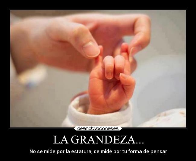 LA GRANDEZA... - 