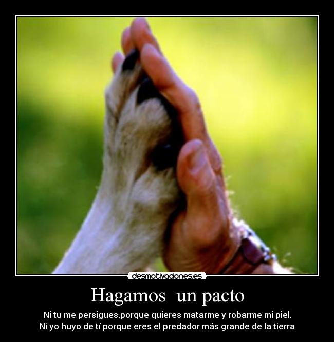 Hagamos  un pacto - 