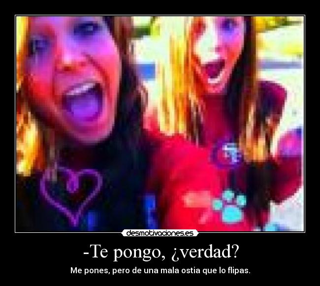 -Te pongo, ¿verdad? - 