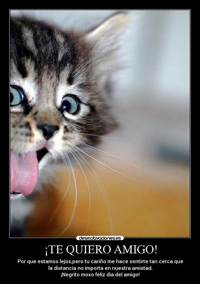 ¡TE QUIERO AMIGO! - Por que estamos lejos,pero tu cariño me hace sentirte tan cerca que
la distancia no importa en nuestra amistad.
¡Negrito moxo feliz dia del amigo!