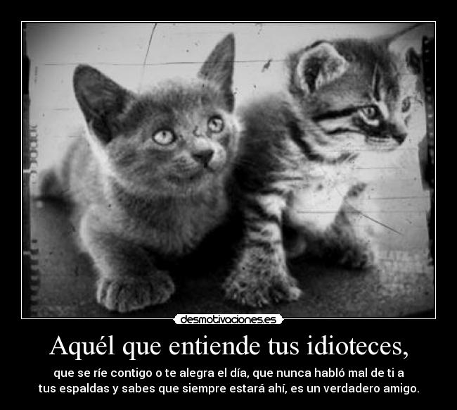 Aquél que entiende tus idioteces, -