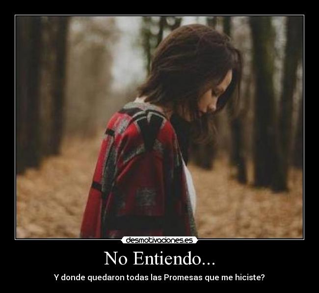 No Entiendo... - Y donde quedaron todas las Promesas que me hiciste?