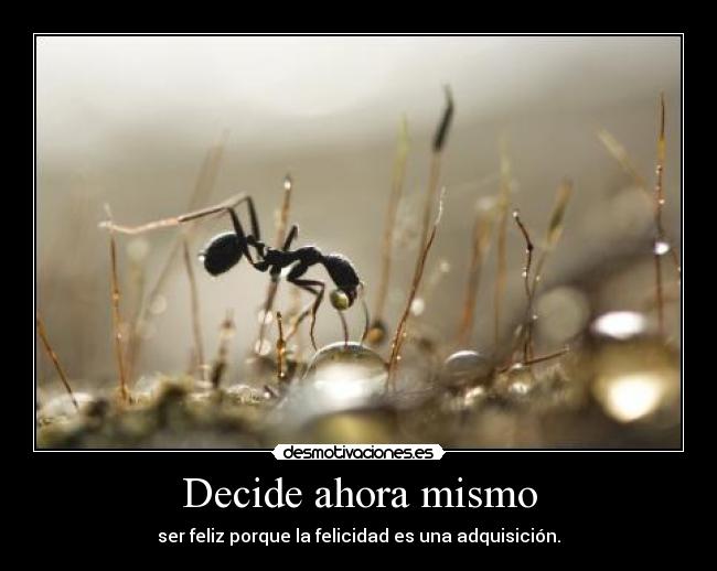 Decide ahora mismo - ser feliz porque la felicidad es una adquisición.