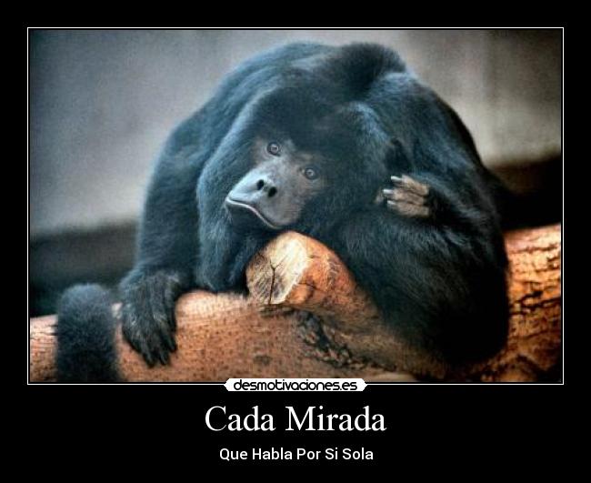 Cada Mirada - Que Habla Por Si Sola