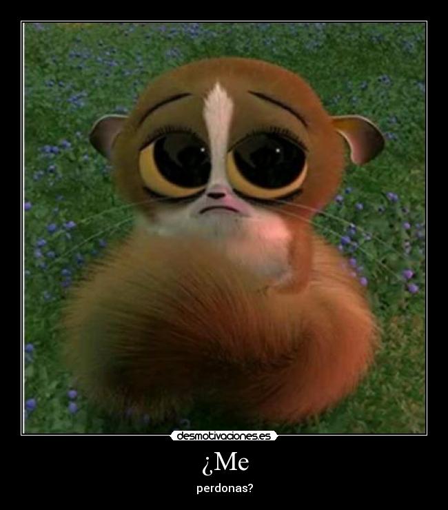 ¿Me - perdonas?