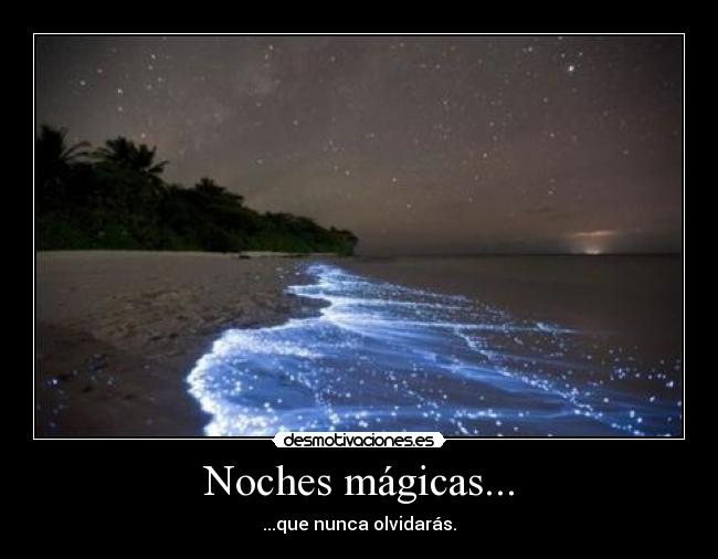 carteles noches magicas desmotivaciones