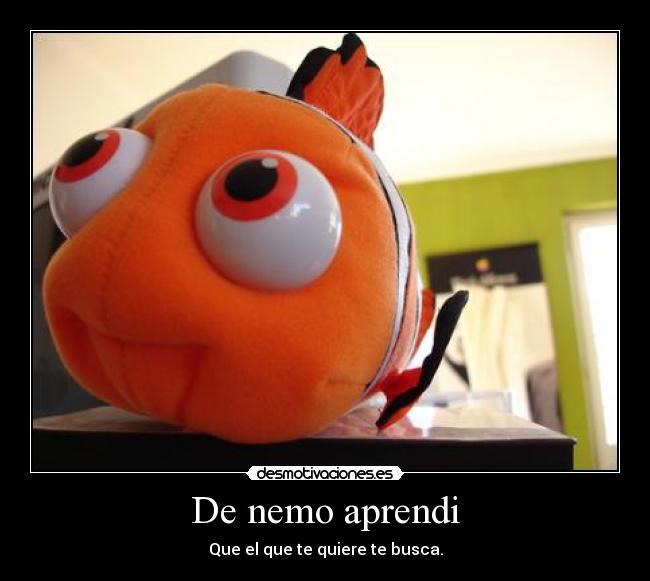 De nemo aprendi - Que el que te quiere te busca.