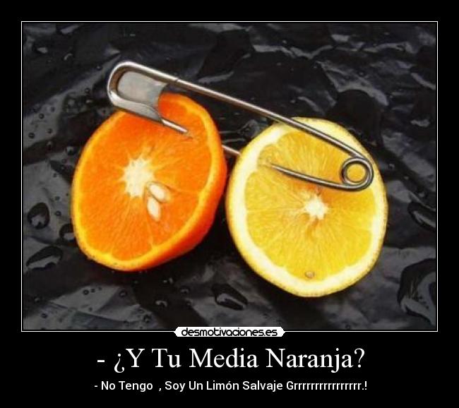 - ¿Y Tu Media Naranja? - - No Tengo  , Soy Un Limón Salvaje Grrrrrrrrrrrrrrrr.!