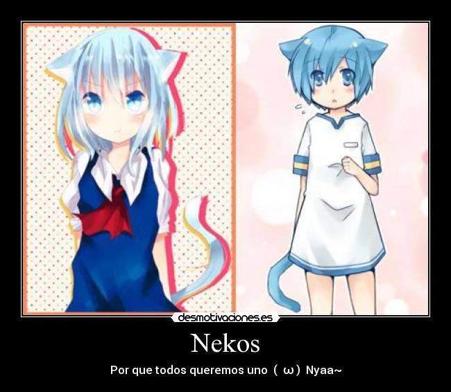 Nekos -