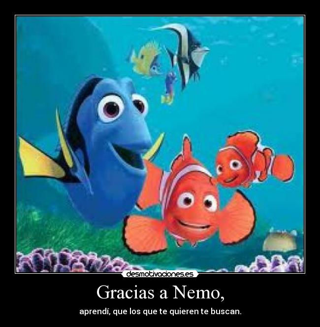 Gracias a Nemo, - aprendí, que los que te quieren te buscan.