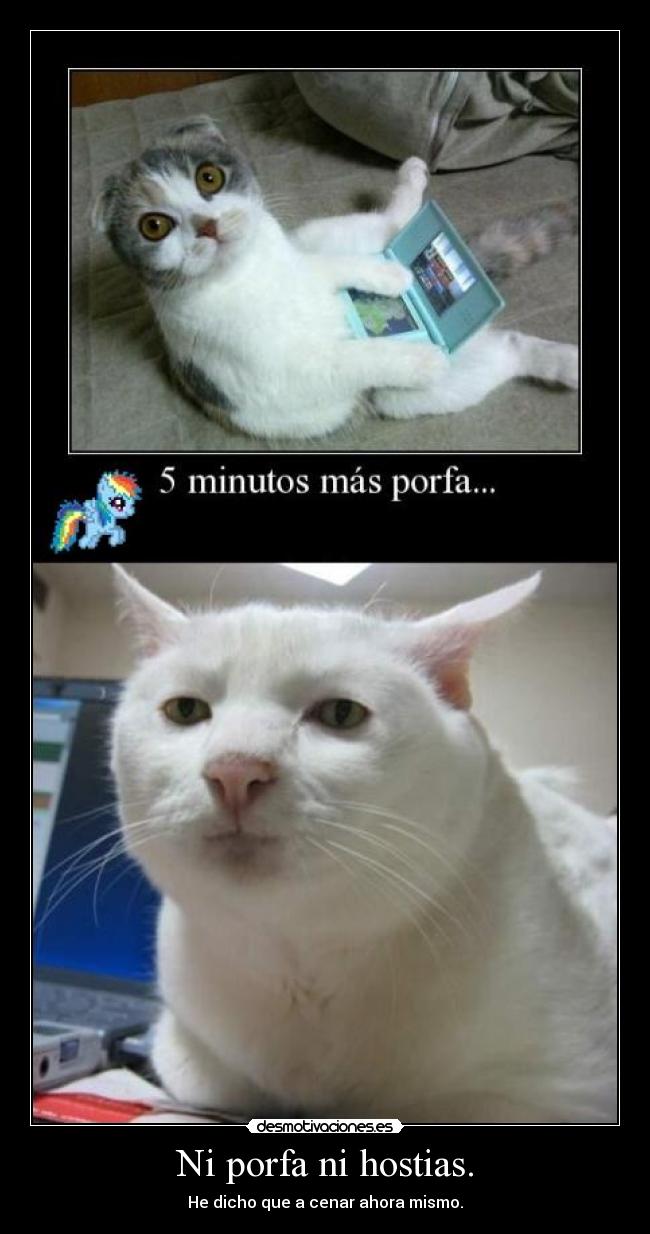 Ni porfa ni hostias. - 