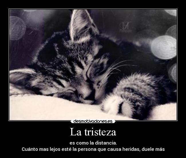 La tristeza - es como la distancia.
Cuánto mas lejos esté la persona que causa heridas, duele más