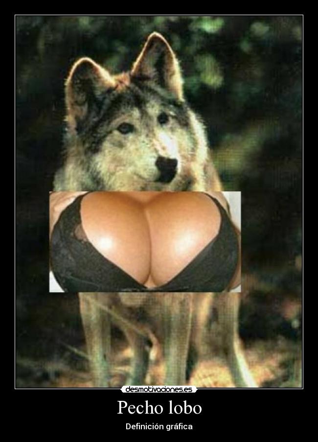 Pecho lobo - Definición gráfica