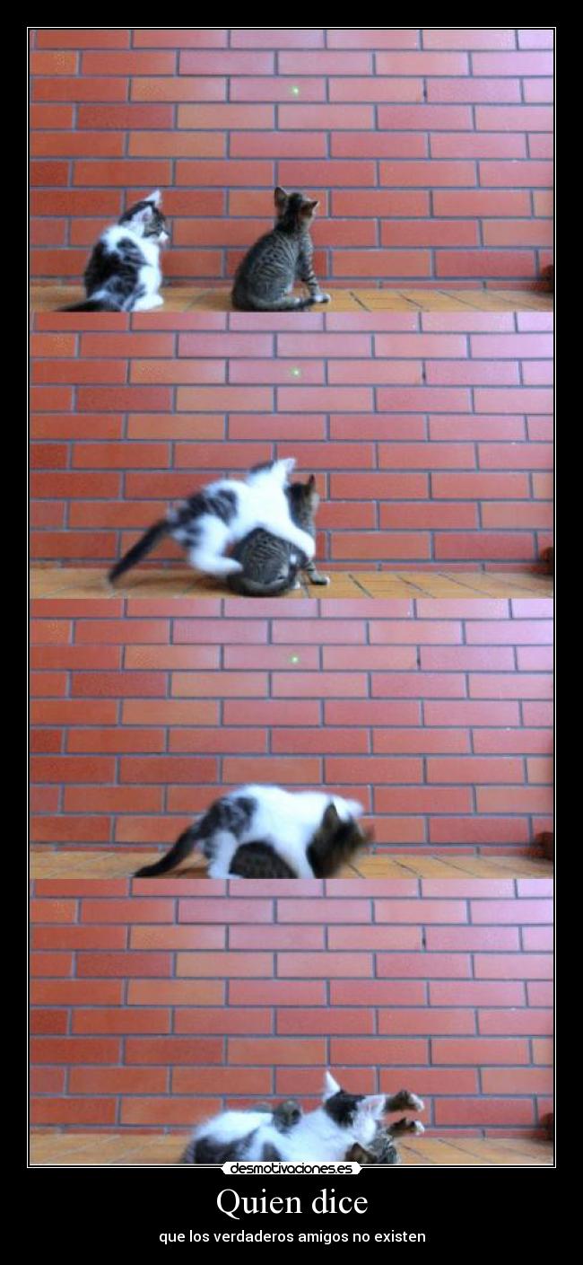 Quien dice - que los verdaderos amigos no existen
