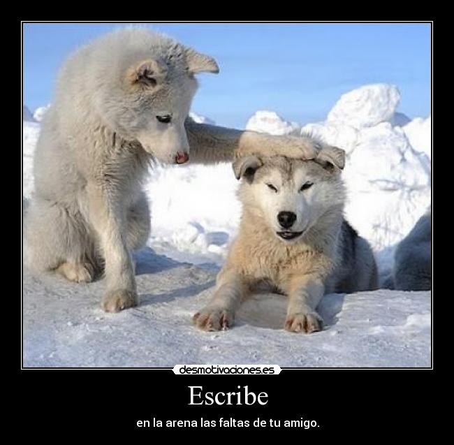 Escribe - en la arena las faltas de tu amigo.