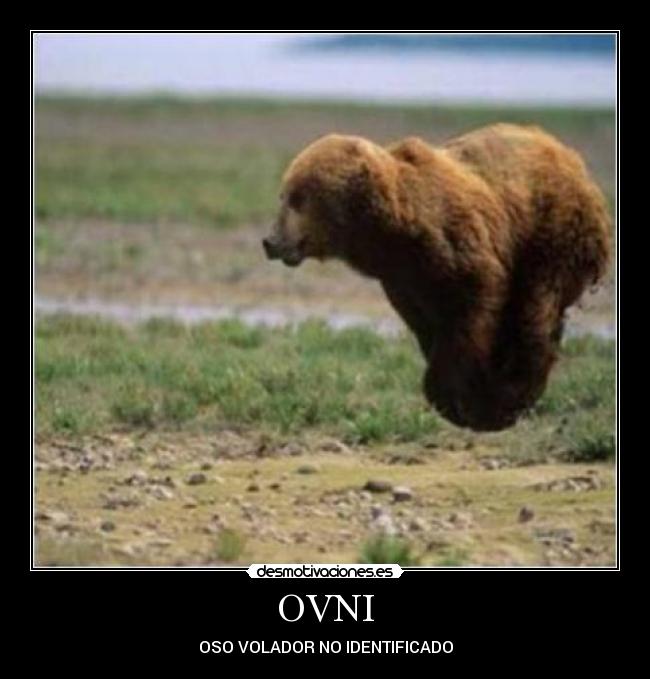 OVNI - OSO VOLADOR NO IDENTIFICADO