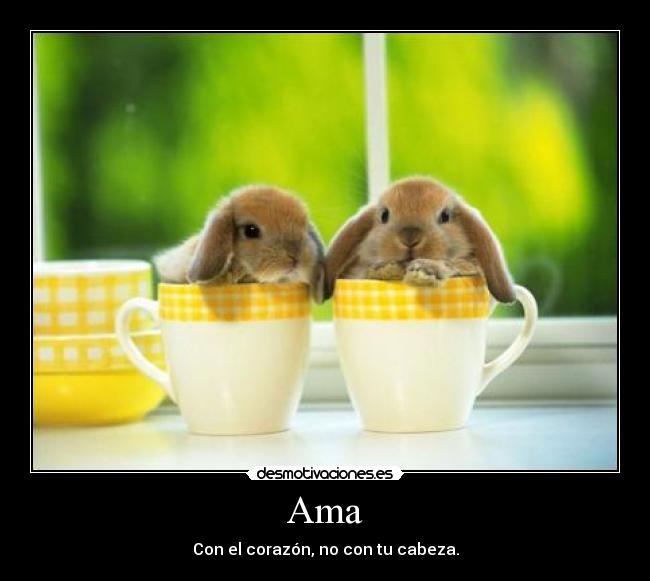 Ama - Con el corazón, no con tu cabeza.