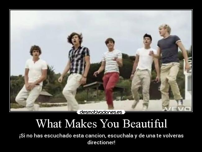 What Makes You Beautiful -