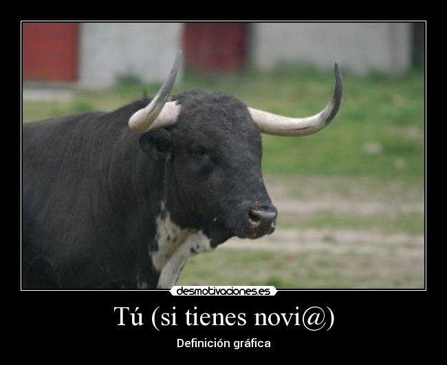 Tú (si tienes novi@) - Definición gráfica