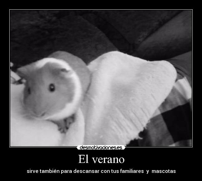 El verano - sirve también para descansar con tus familiares  y  mascotas