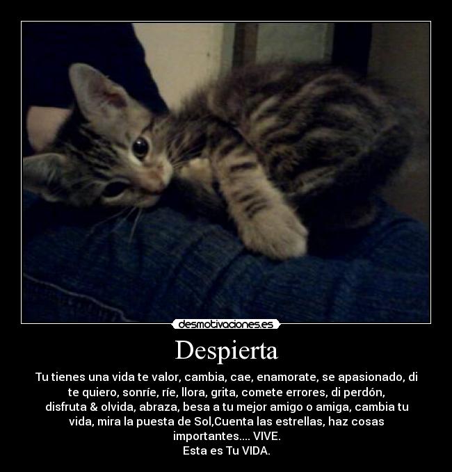 Despierta - 