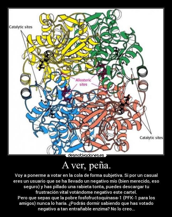 A ver, peña. - Voy a ponerme a votar en la cola de forma subjetiva. Si por un casual
eres un usuario que se ha llevado un negativo mío (bien merecido, eso
seguro) y has pillado una rabieta tonta, puedes descargar tu
frustración vital votándome negativo este cartel.
Pero que sepas que la pobre fosfofructoquinasa-1 (PFK-1 para los
amigos) nunca lo haría. ¿Podrás dormir sabiendo que has votado
negativo a tan entrañable enzima? No lo creo...