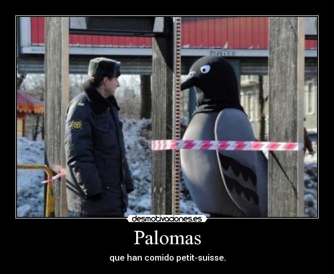 Palomas -
