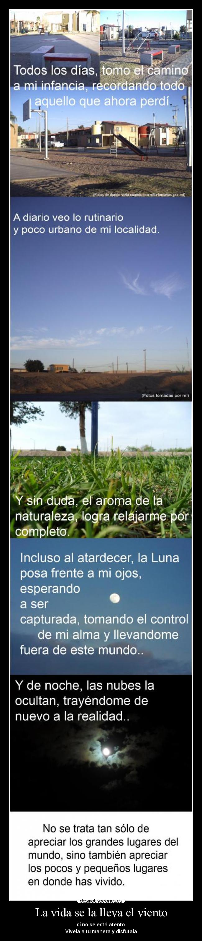 carteles vida concurso1 desmotivaciones