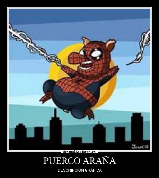 PUERCO ARAÑA - DESCRIPCIÓN GRÁFICA