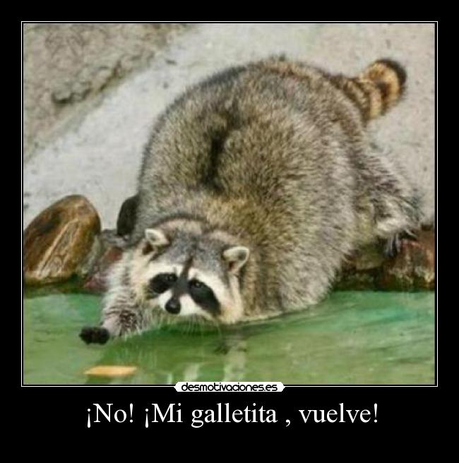 ¡No! ¡Mi galletita , vuelve! - 