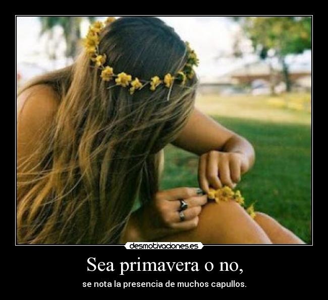 Sea primavera o no, - se nota la presencia de muchos capullos.