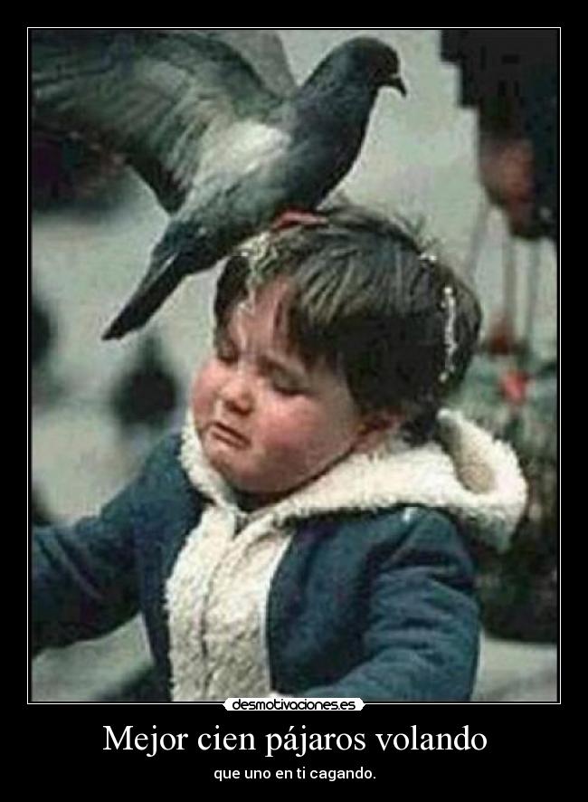Mejor cien pájaros volando - que uno en ti cagando.