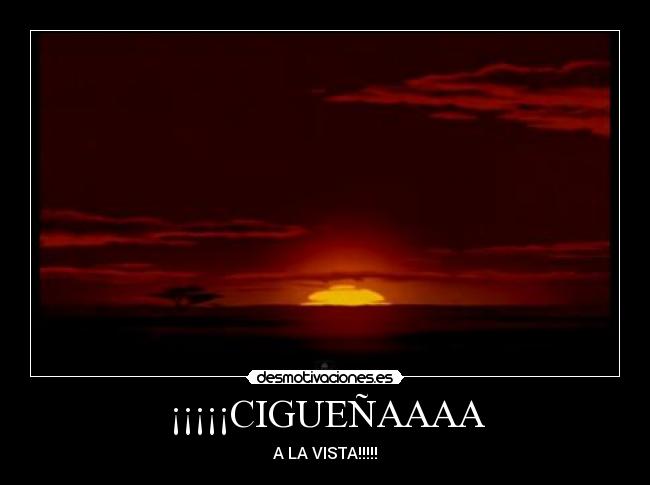 ¡¡¡¡¡CIGUEÑAAAA - A LA VISTA!!!!!