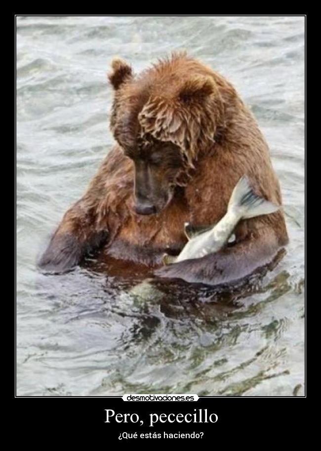 Pero, pececillo - ¿Qué estás haciendo?