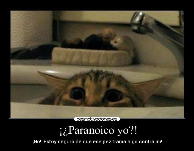 ¡¿Paranoico yo?! - 