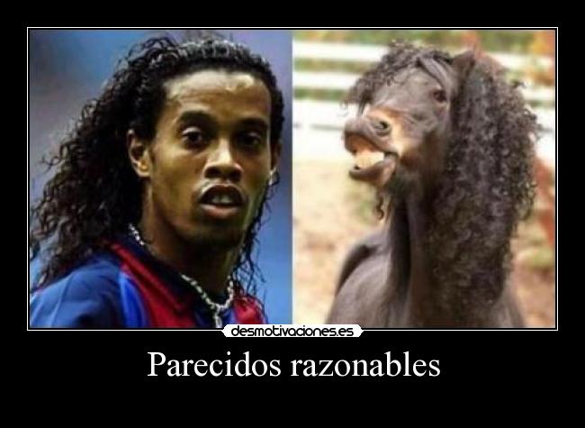 Parecidos razonables -