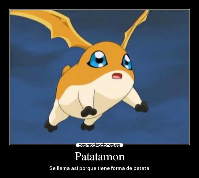 Patatamon - Se llama así porque tiene forma de patata.