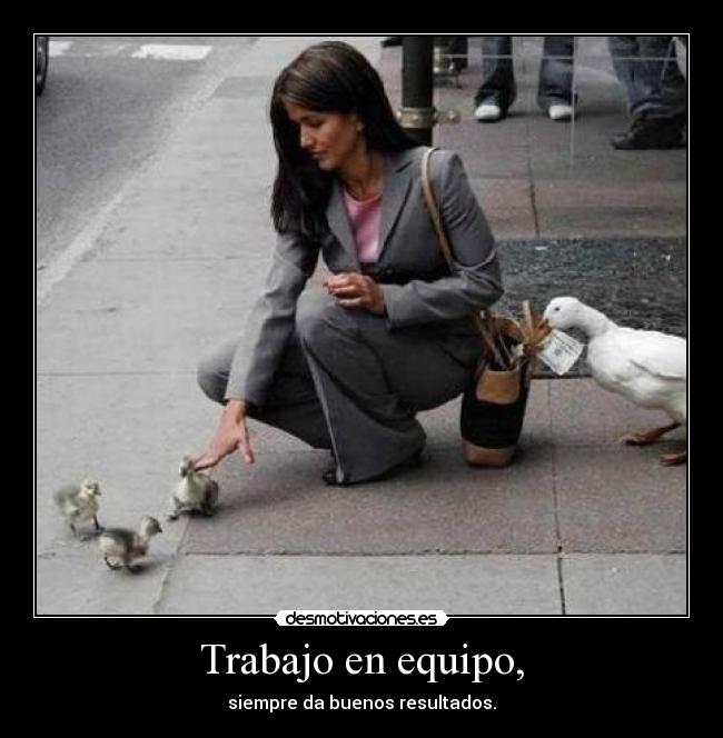 Trabajo en equipo, - siempre da buenos resultados.