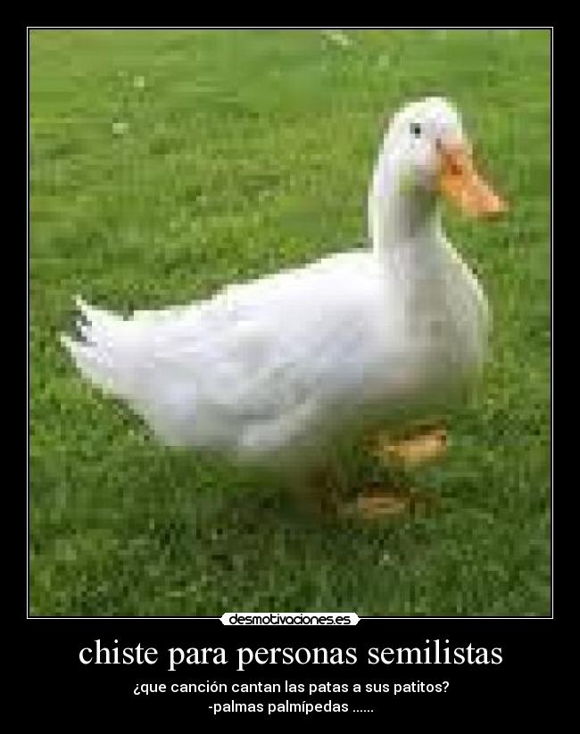 carteles chiste palmas palmitas higos castanitas patos palmipedos desmotivaciones