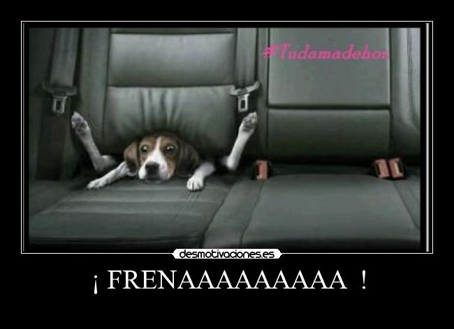 ¡ FRENAAAAAAAAA ! -