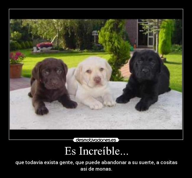 Es Increíble... -