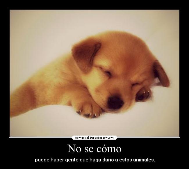 No se cómo - puede haber gente que haga daño a estos animales.