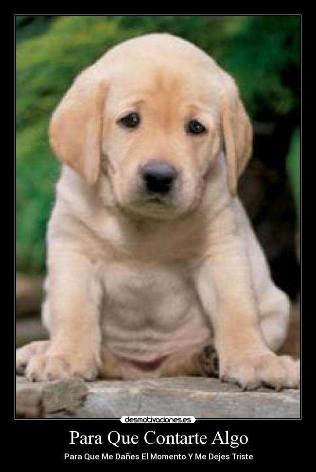 Para Que Contarte Algo - Para Que Me Dañes El Momento Y Me Dejes Triste