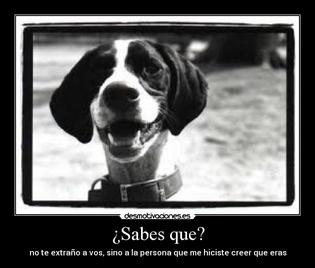 carteles persona desmotivaciones