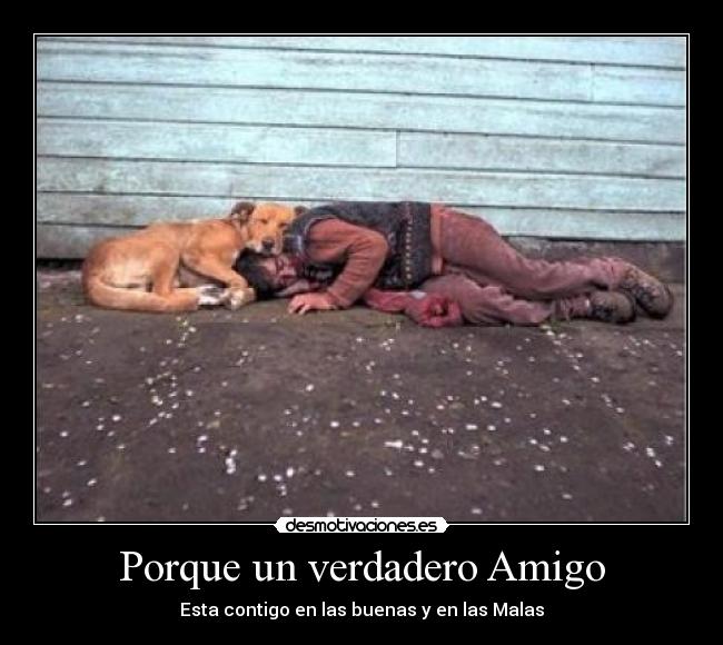 Porque un verdadero Amigo - Esta contigo en las buenas y en las Malas