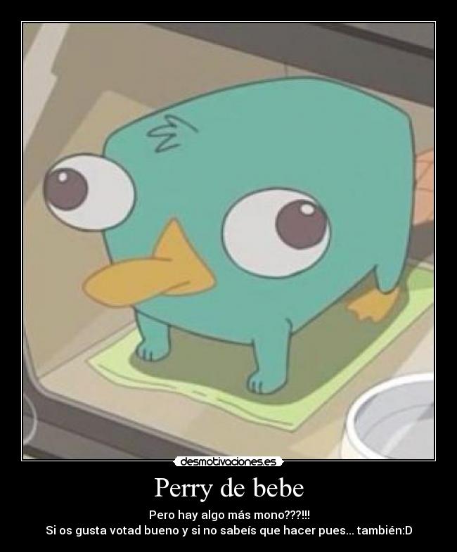 Perry de bebe -