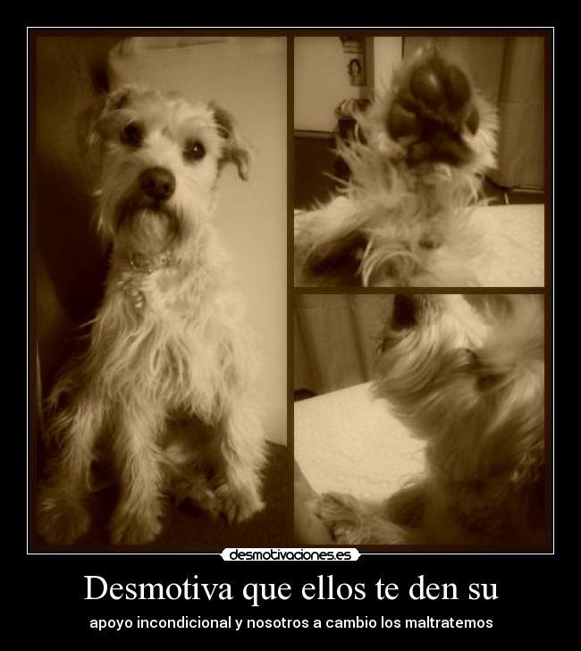 Desmotiva que ellos te den su - apoyo incondicional y nosotros a cambio los maltratemos