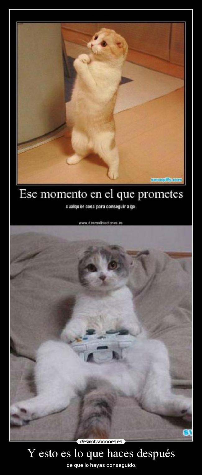 Y esto es lo que haces después -