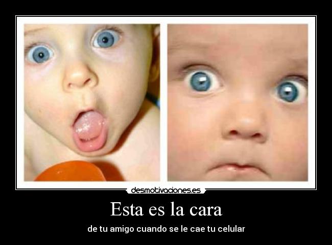 carteles ashley sanet desmotivaciones