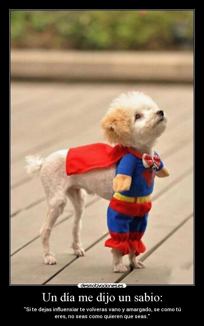 Un día me dijo un sabio: -